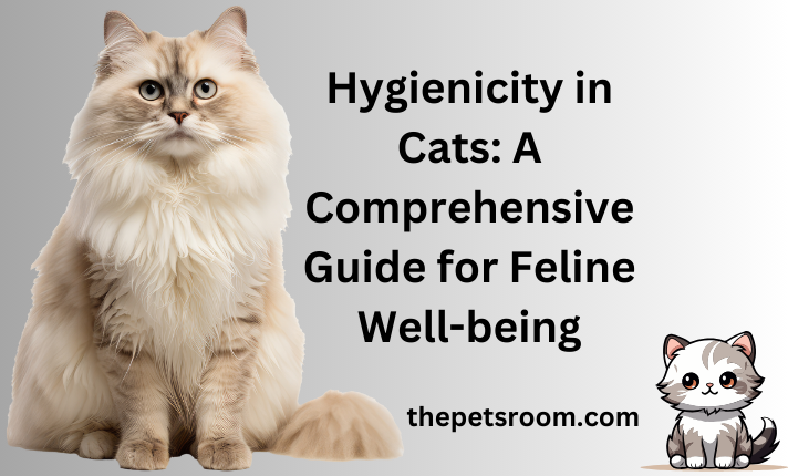 Hygienicity in Cats: A Comprehensive Guide for Feline Well-being