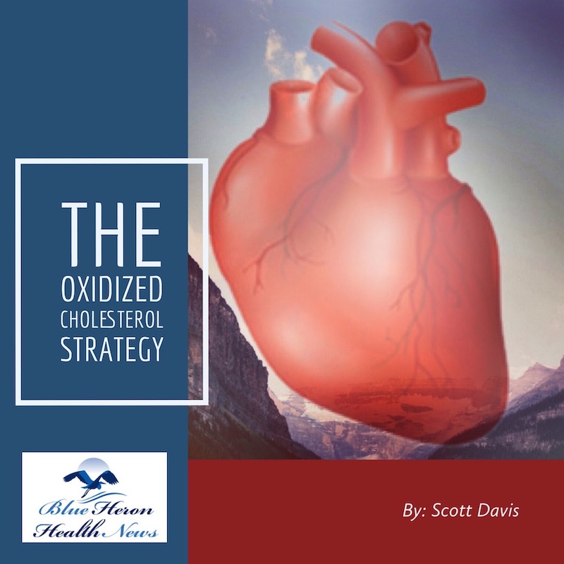The Oxidized Cholesterol Strategy by Scott Davis PDF eBook