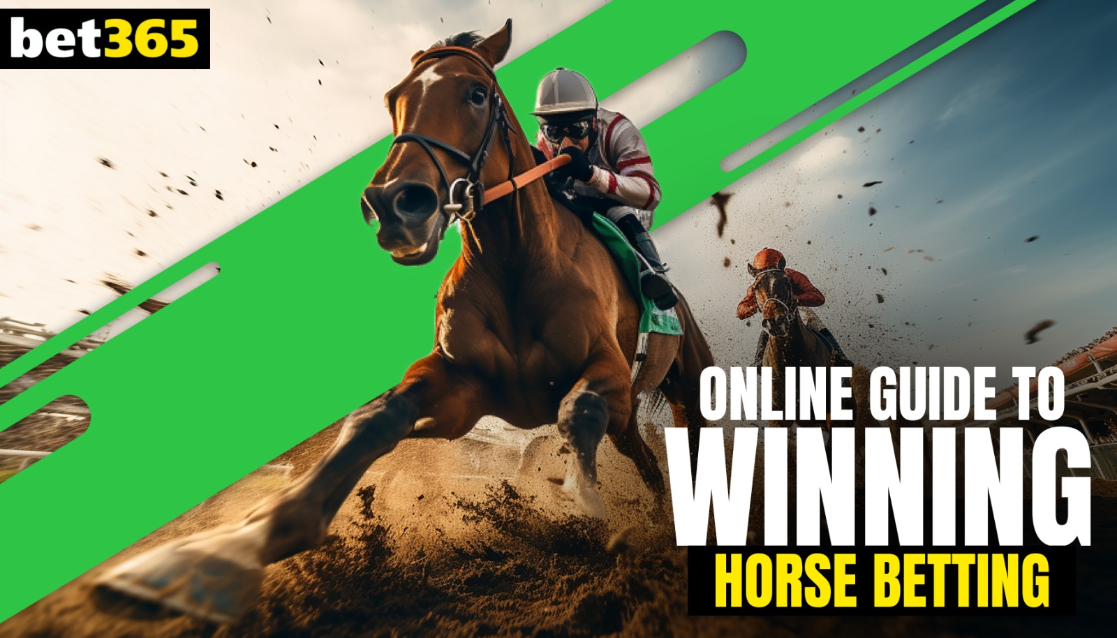 Bet365's Comprehensive Guide to Successful Horse Betting Online