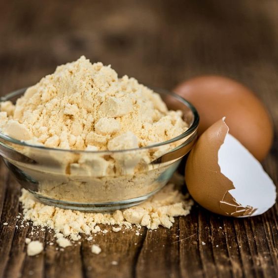 Whole Egg Powder Market Growth Boost Growth To 2033