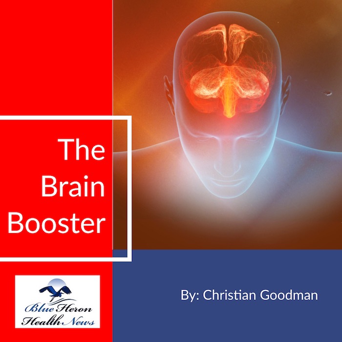 The Brain Booster by Christian Goodman PDF eBook